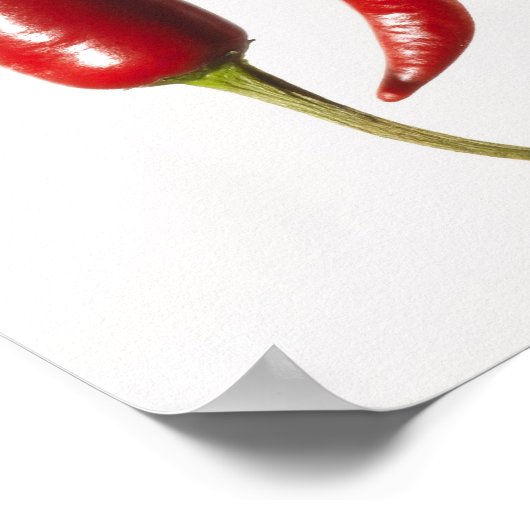 Poster Peppers chili dans une rangée (Coin)