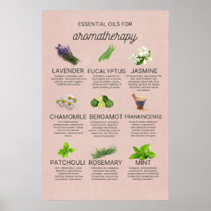 Poster Pequeña guía de aceites esenciales en español