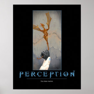 Poster Perception