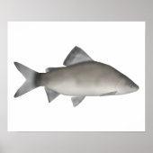 Poster Perche (Devant)