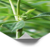 Poster Perche appropriée (Coin)