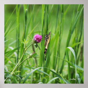 Poster Perche appropriée