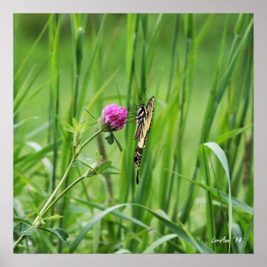 Poster Perche appropriée (Devant)