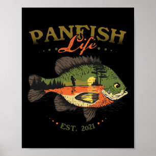 Poster Perche soleil Panfish Vie 2025 Pêche Pêcheur