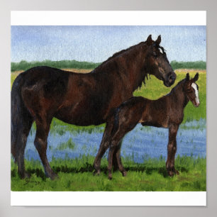 Poster Percheron Mare et portrait de poulain