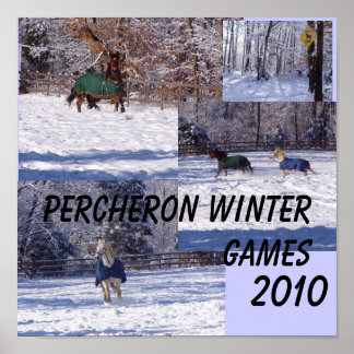 POSTER PERCHERON WINTER GAMES, 2013
