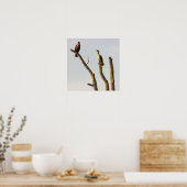 Poster Perching Birds (Cuisine)