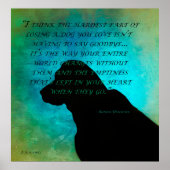 Poster Perdre un chien (Devant)