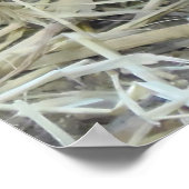 Poster Perdrix sauvage (Coin)