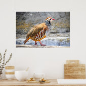 Poster Perdrix sauvage (Cuisine)