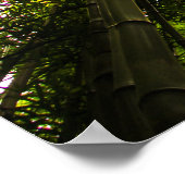 Poster Perdu Dans Le Bambou (Coin)
