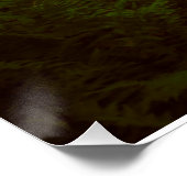 Poster Perdu dans les bois (Coin)
