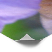 Poster Perdu dans un rêve (Coin)