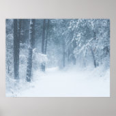 Poster Perdu dans une forêt magique (Devant)