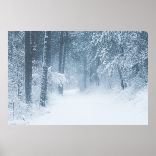 Poster Perdu dans une forêt magique (Devant)
