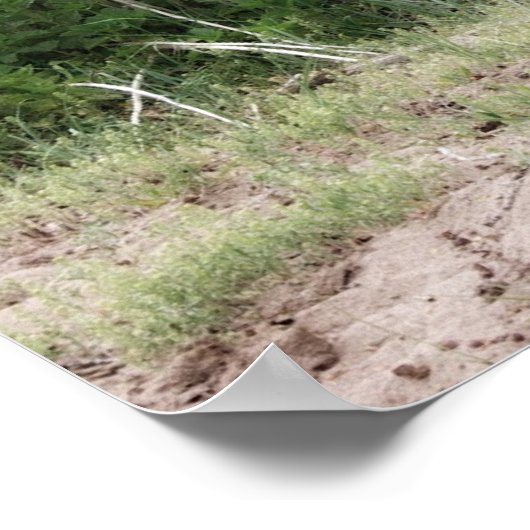 Poster Perdu et oublié (Coin)