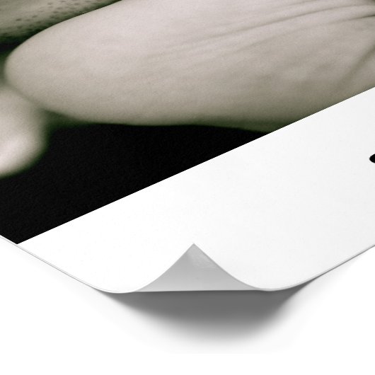 Poster Père et fils (Coin)