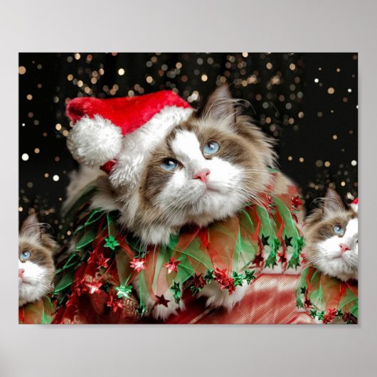 Poster Père Noël Cat (Devant)