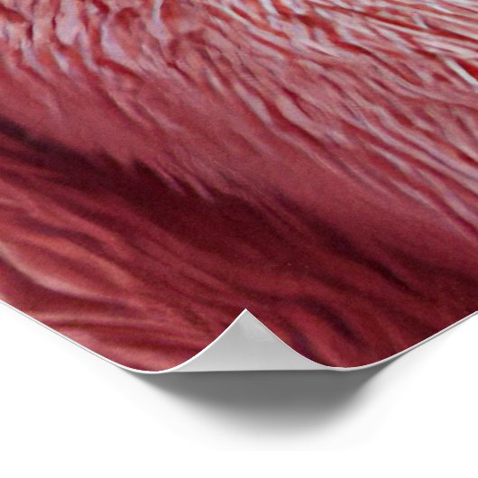 Poster Père Noël Chic Mr & Mrs Claus Tournent Têtes au Fe (Coin)