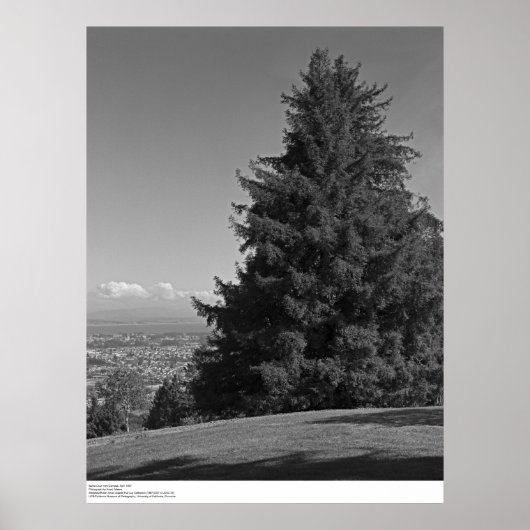 Poster Père Noël Cruz du campus, avril 1967 (Devant)