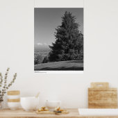 Poster Père Noël Cruz du campus, avril 1967 (Cuisine)