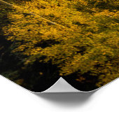 Poster Père Noël Fe Forêt nationale au coucher du soleil  (Coin)