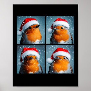Poster Père Noël Robin Redsein Winter Bird Photographie C