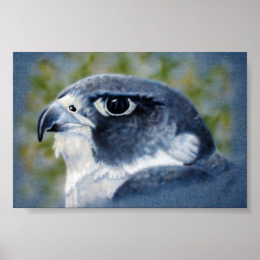 Poster Peregrine-aérographe (Devant)