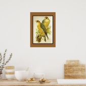 Poster  peregrine valk vogels (Keuken)