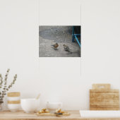 Poster Pères et Chcik Chaffinch Imprimer (Cuisine)