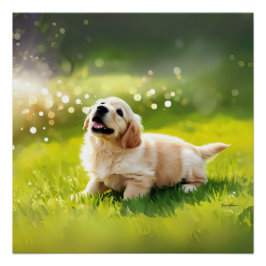 POSTER PERFECT POSTER