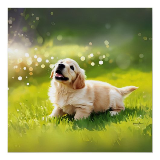 POSTER PERFECT POSTER (Voorkant)