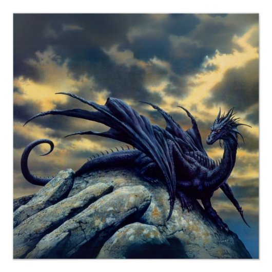 POSTER PERFECT POSTER (Voorkant)