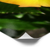 Poster Perfect Poster (Hoek)