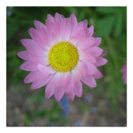 Poster Perfect Poster