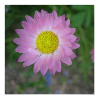 Poster Perfect Poster