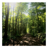 poster perfect poster (Voorkant)