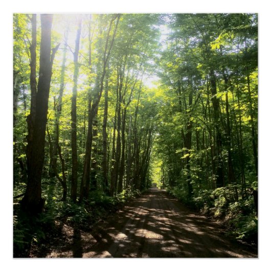 poster perfect poster (Voorkant)