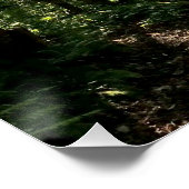 poster perfect poster (Hoek)