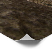 Poster Pergamon ruines grecques (Coin)