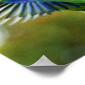 POSTER PERIQUITO TUIM 1 (Hoek)