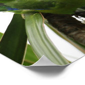 POSTER PERIQUITO TUIM 2 (Hoek)