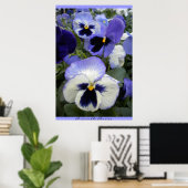 Poster Periwinkle Pansies (Thuiskantoor)