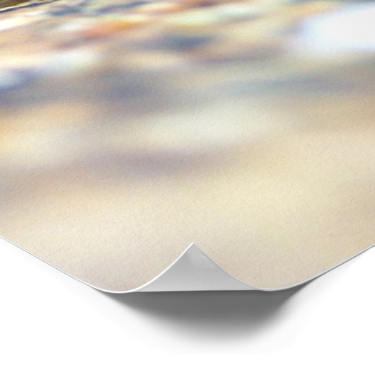 Poster Périwinkles (Coin)