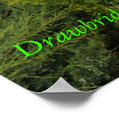 Poster Perkins Cove Drawbridge - Ogunquit maine (Coin)