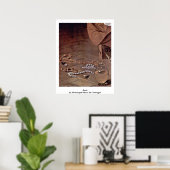 Poster Perles De Michelangelo Merisi Da Caravaggio (Bureau à domicile)