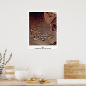 Poster Perles De Michelangelo Merisi Da Caravaggio (Cuisine)