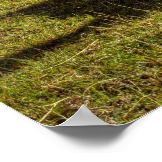 Poster Pérou, Andes, Monts Andes, Machu Picchu, 2 (Coin)