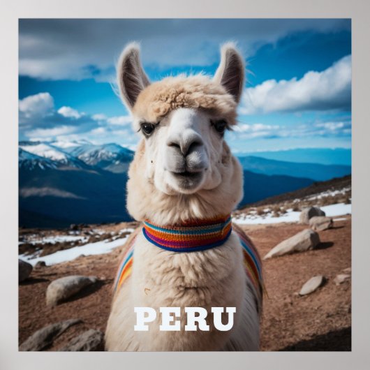 Poster Pérou Llama (Devant)
