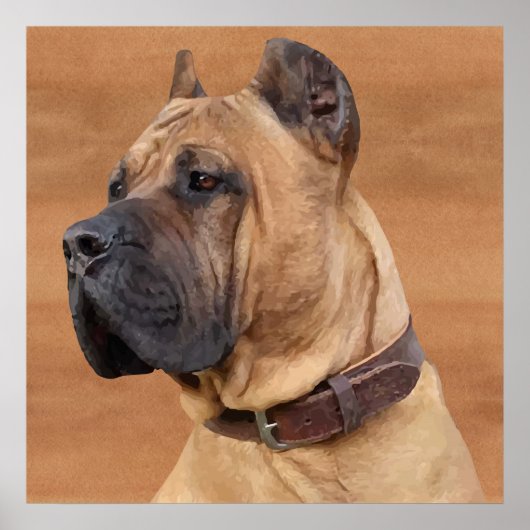 Poster Perro de Presa Canario - Dogo Canario (Devant)